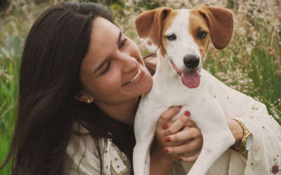 Happy and Healthy Animals – A Guide to More Adoptions