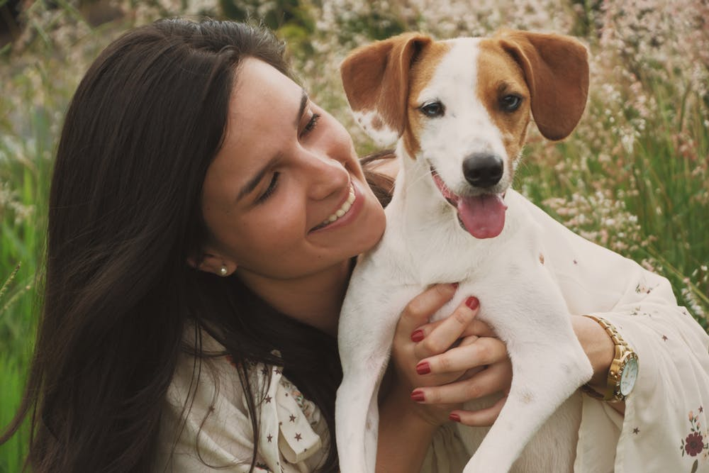 Happy and Healthy Animals – A Guide to More Adoptions