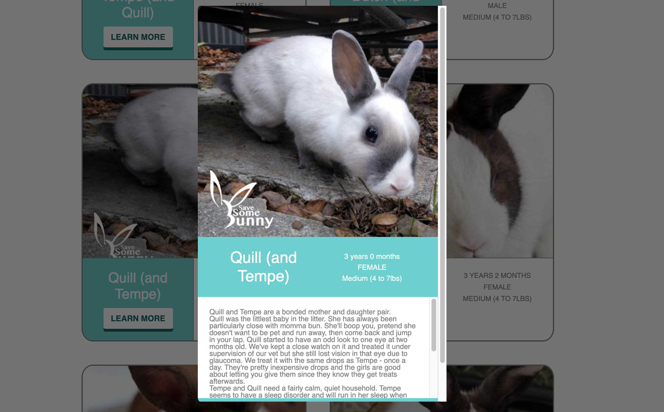 Pawlytics API Animal Shelter Software | Pawlytics