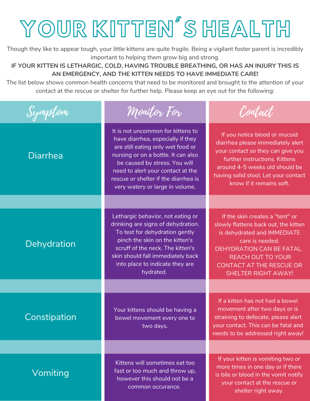 How to Foster Kittens Resource for Animal Shelters and Animal Rescues