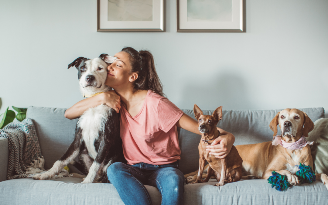 Protecting Rescue Pets: Pawlytics is Teaming Up with Companion Protect