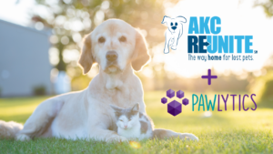 Picture of a dog and cat announcing AKC Reunite and Pawlytics partnership