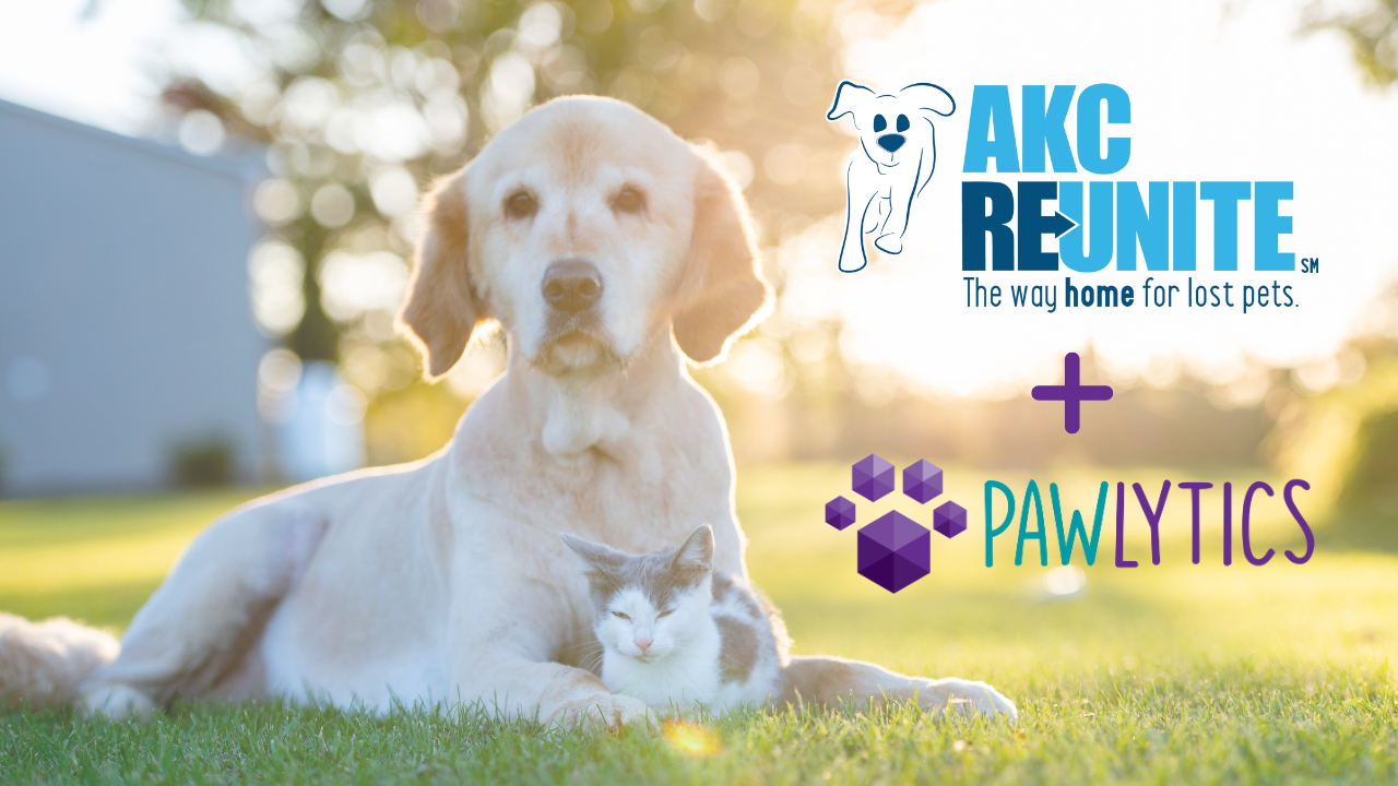 Akc 2024 reunite microchip