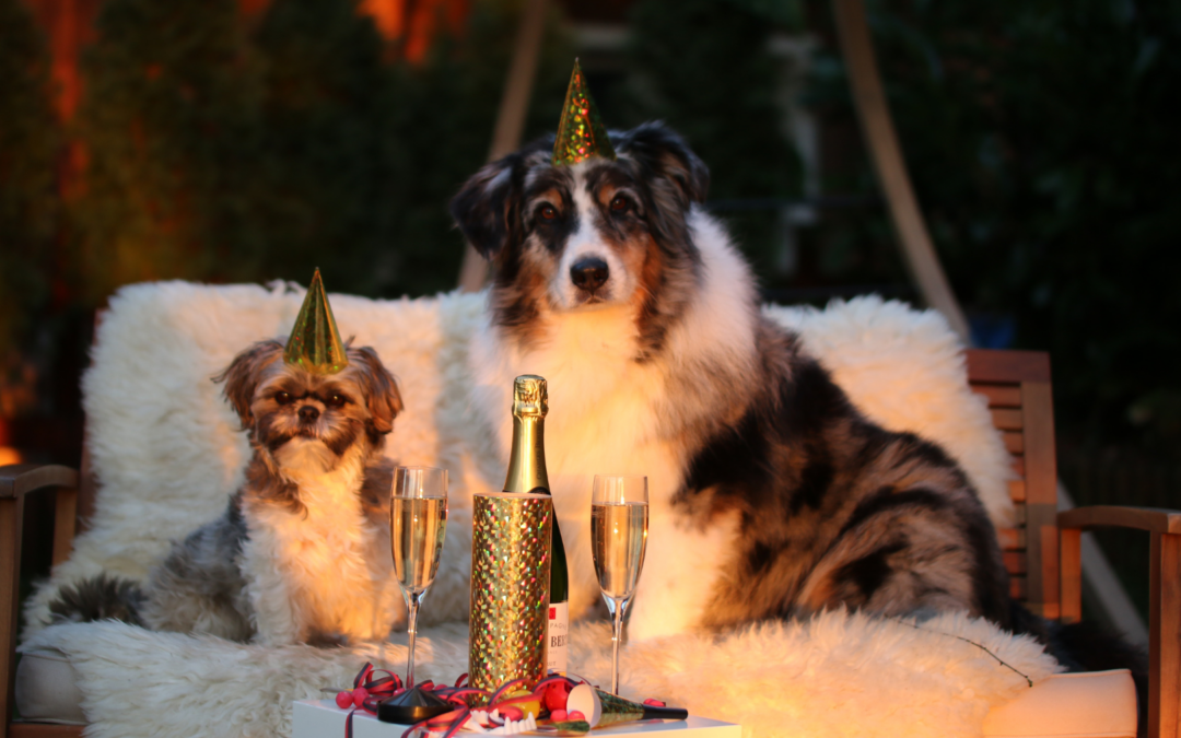 New Year, New Ways: Winning Over the Skeptics in Your Animal Rescue