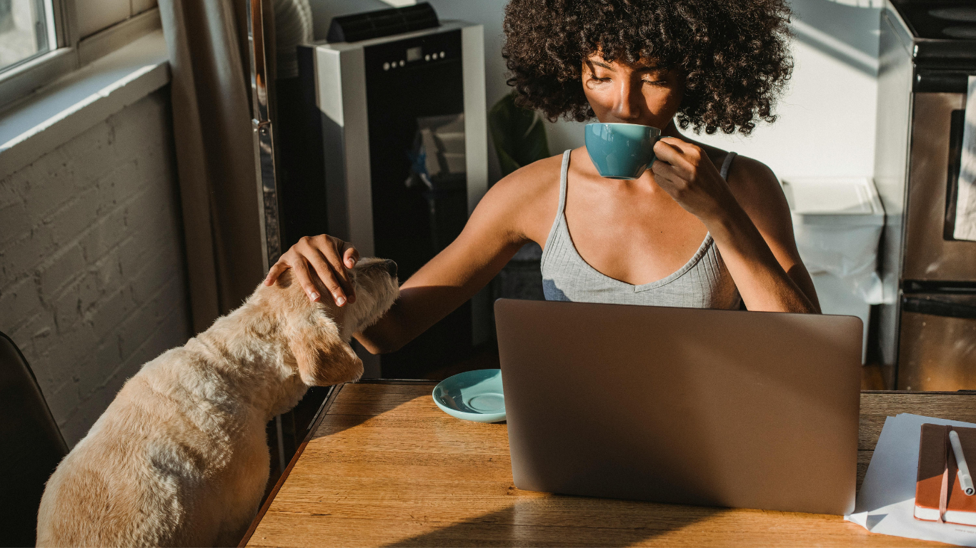 Contact Us at Pawlytics