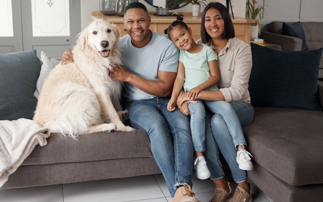 Boosting Dog Adoptions with Better Matchmaking