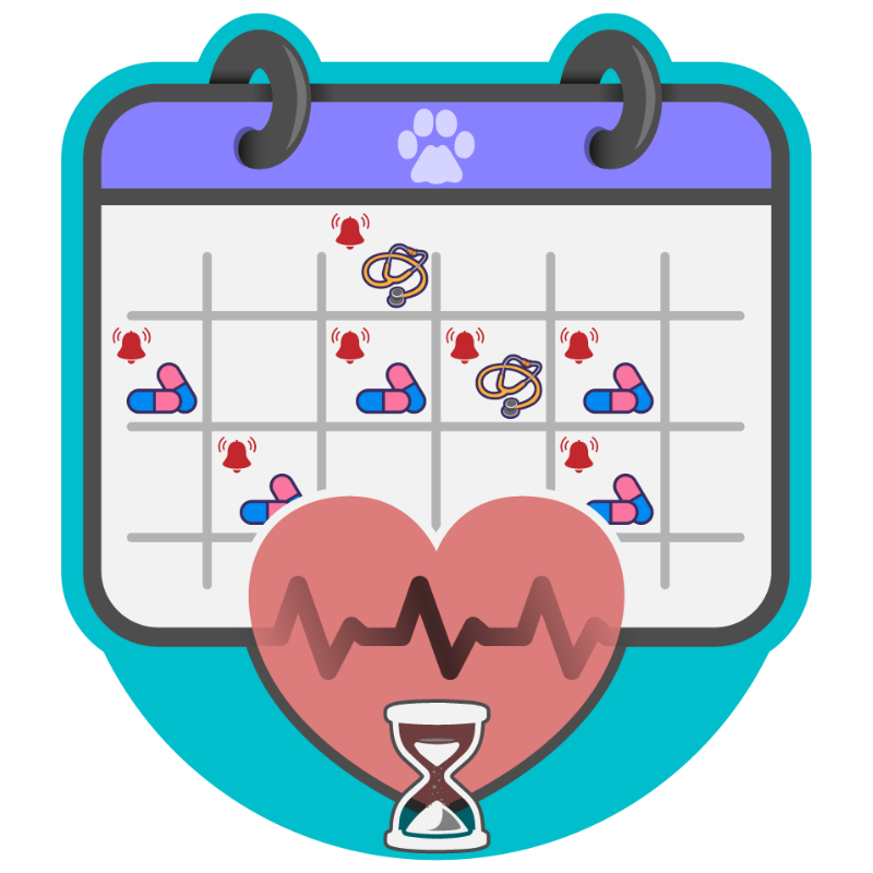 Rescue Pet Medical Reminders